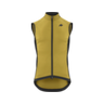 Gul