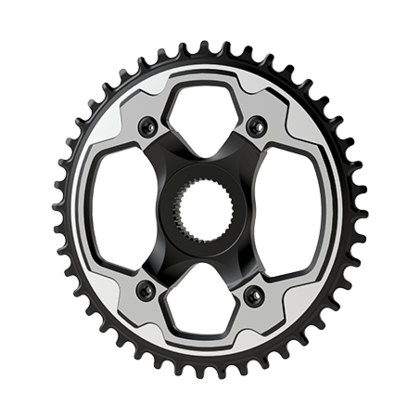 Bafang E1.J1 44T Drev