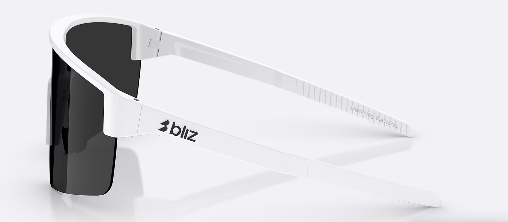 Bliz P004 Glasögon
