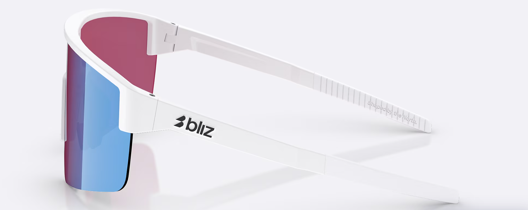 Bliz P004 Glasögon