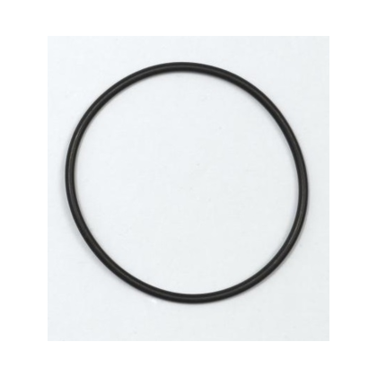 Bosch O-Ring