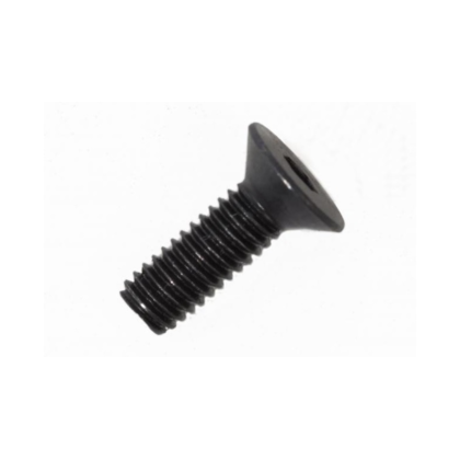 Bosch Active/Perf. M4 x 10 Skruve