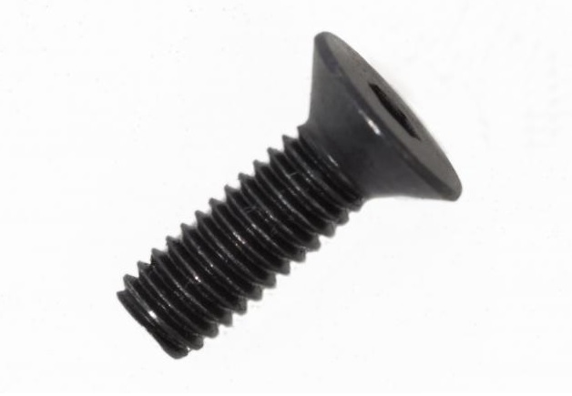 Bosch Active/Perf. M4 x 10 Skruve