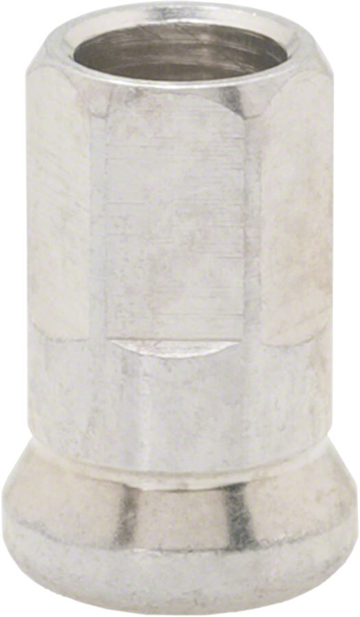 Campagnolo Ekerniplar