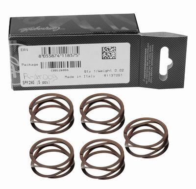 Campagnolo Fjær til Power Torque Kranker