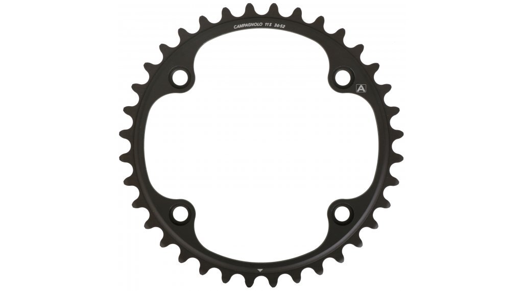 Campagnolo SU RE/RE/CH 36T Drev