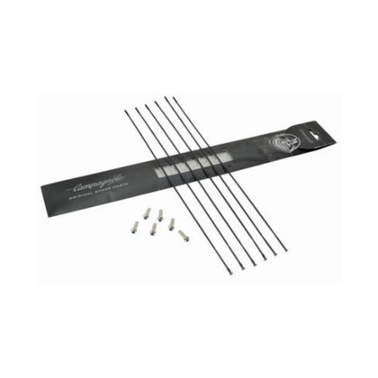 Campagnolo Bora One Eiker