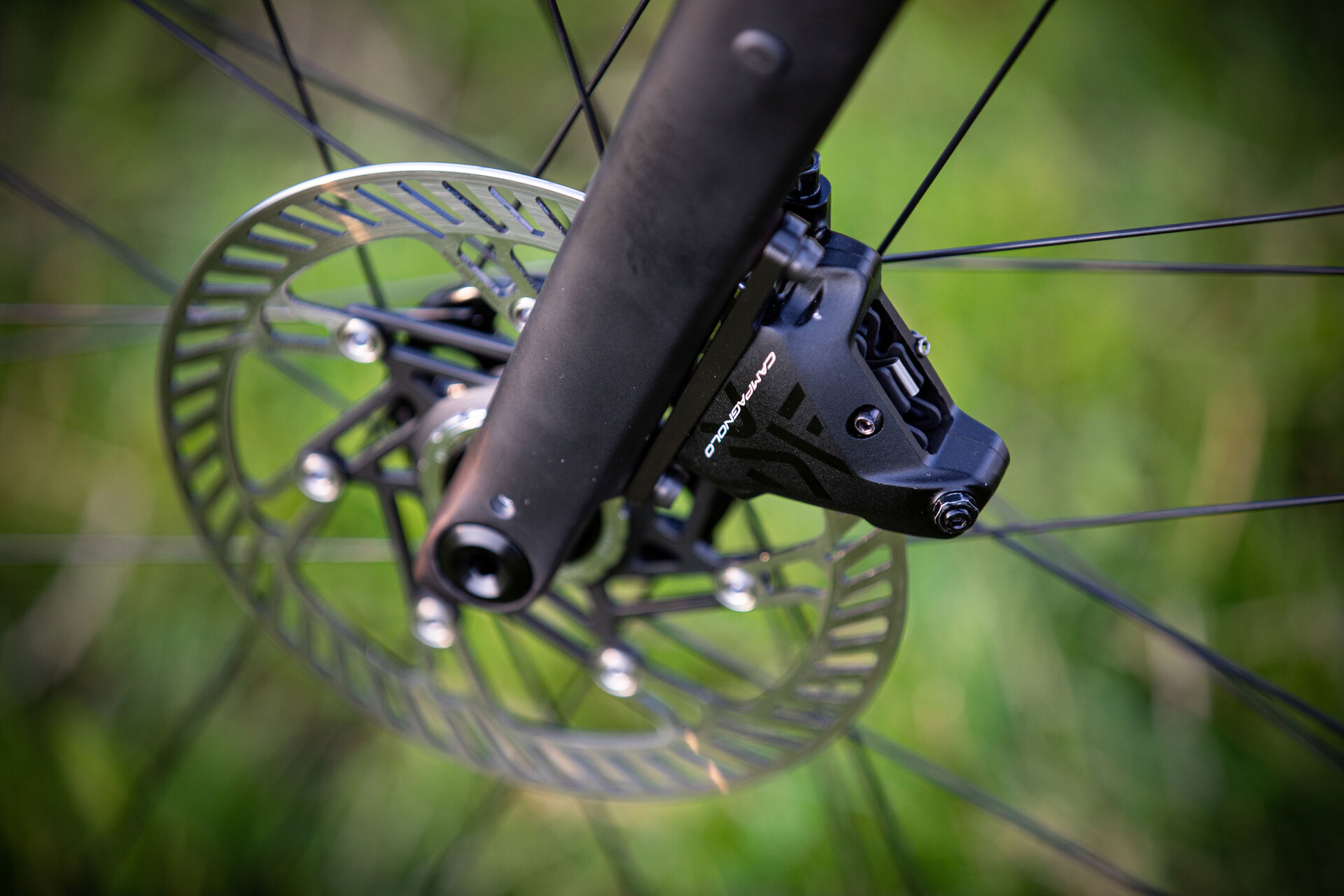 Campagnolo AFS Bromsskiva