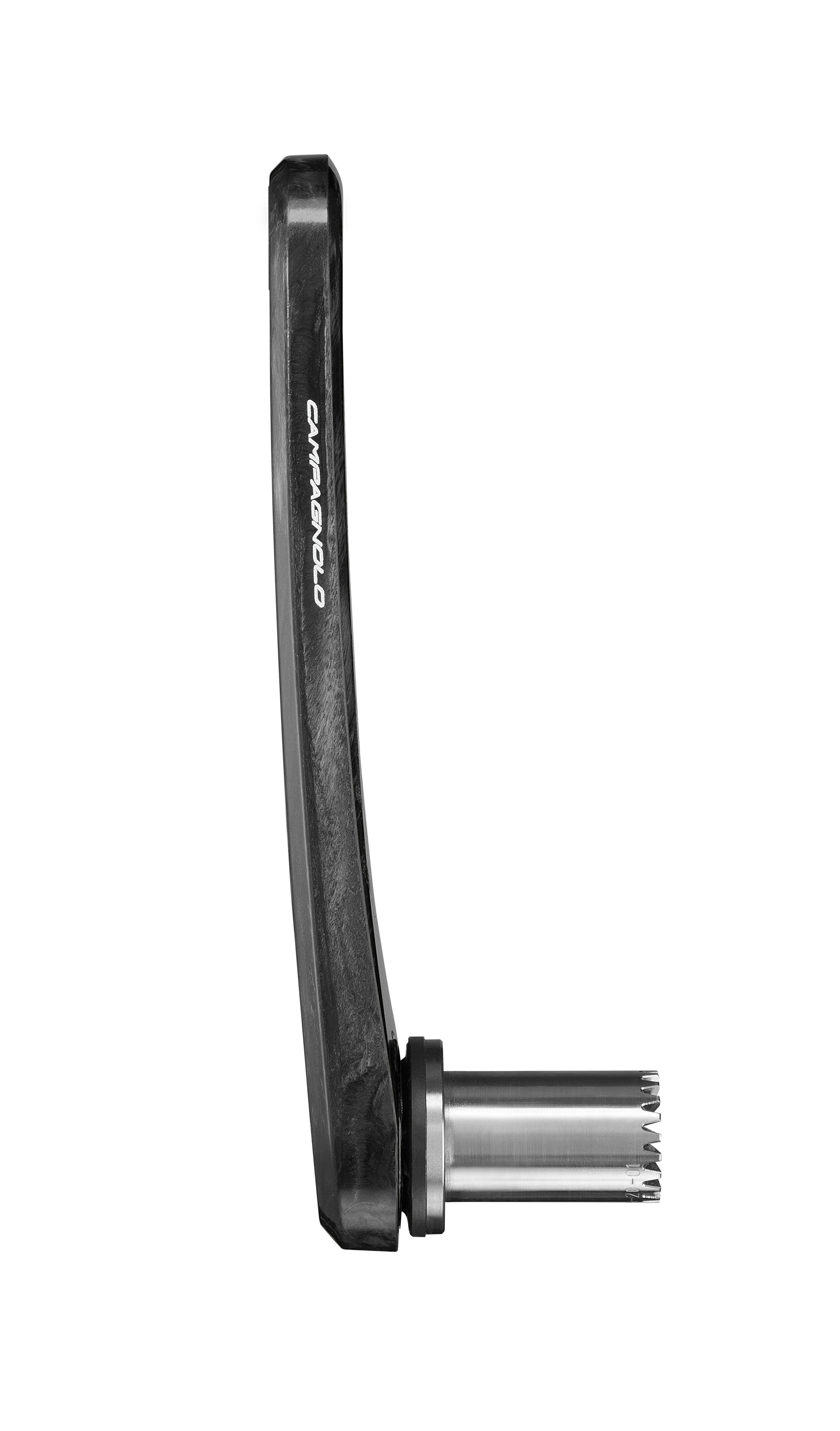 Campagnolo Ekar Vevparti