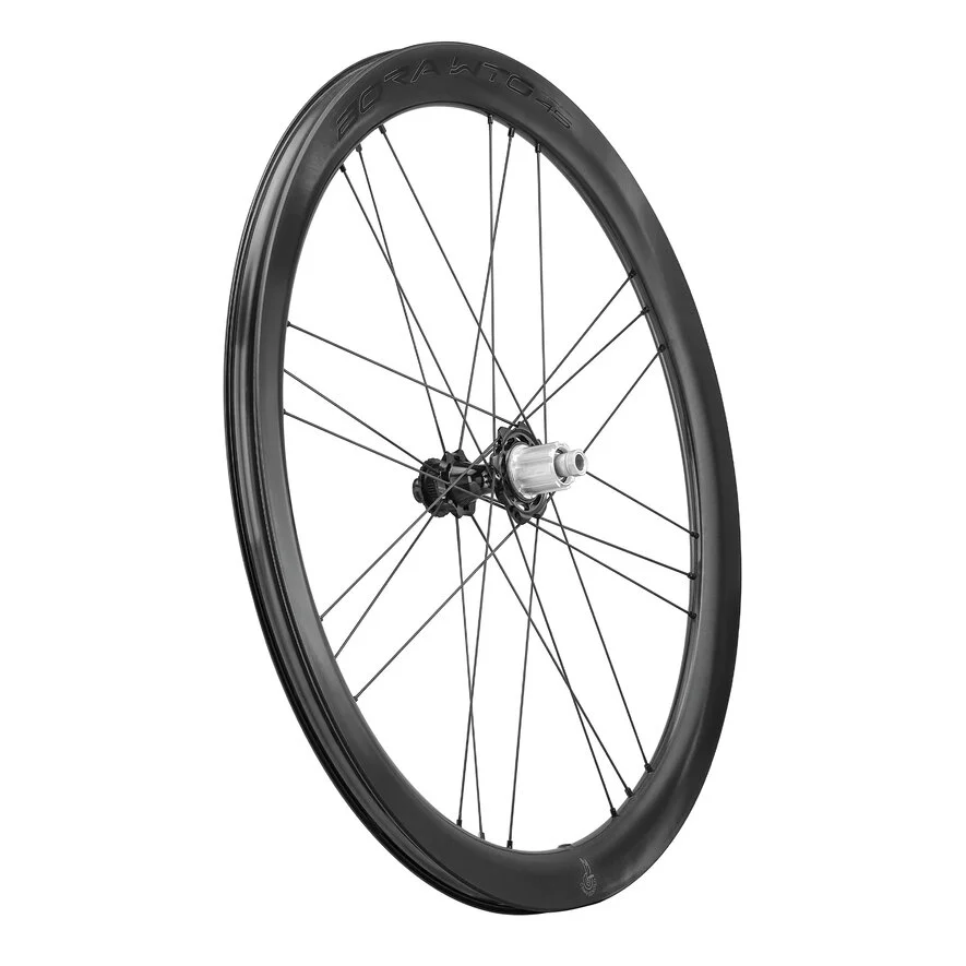 Campagnolo Bora WTO 45 DB Hjulset