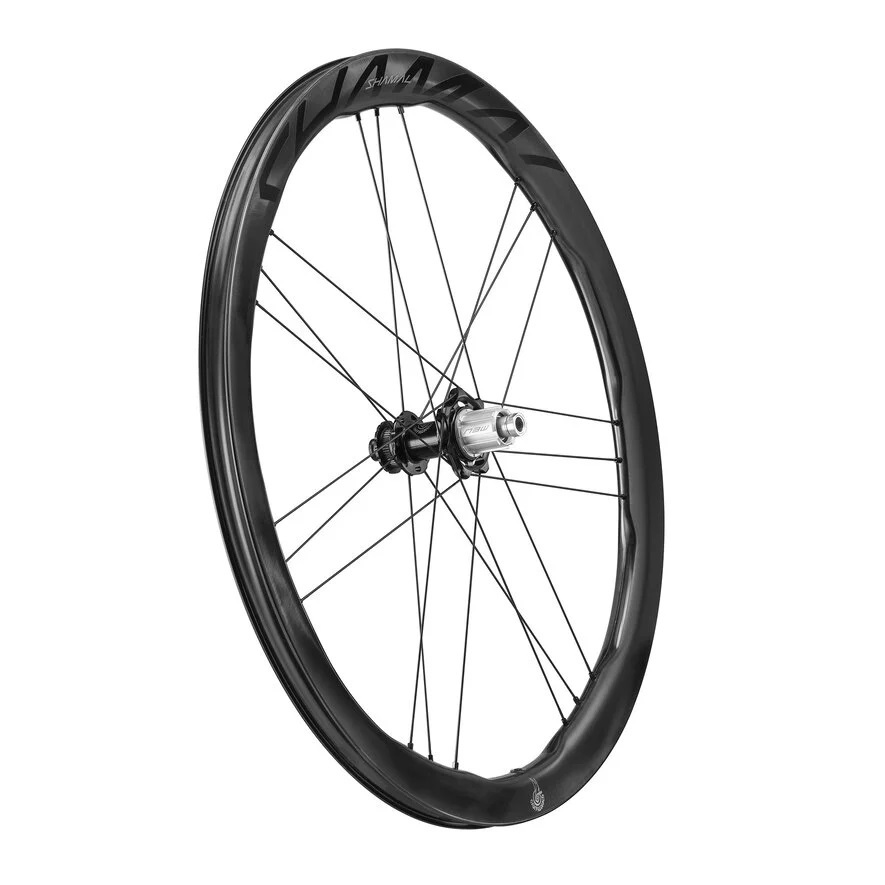 Campagnolo Shamal Dual Profile Hjulset