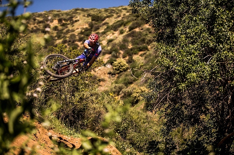 Continental Trail King Däck