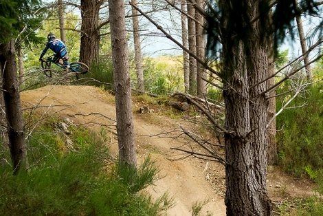 Conti Der Kaiser 2.4 26" Däck