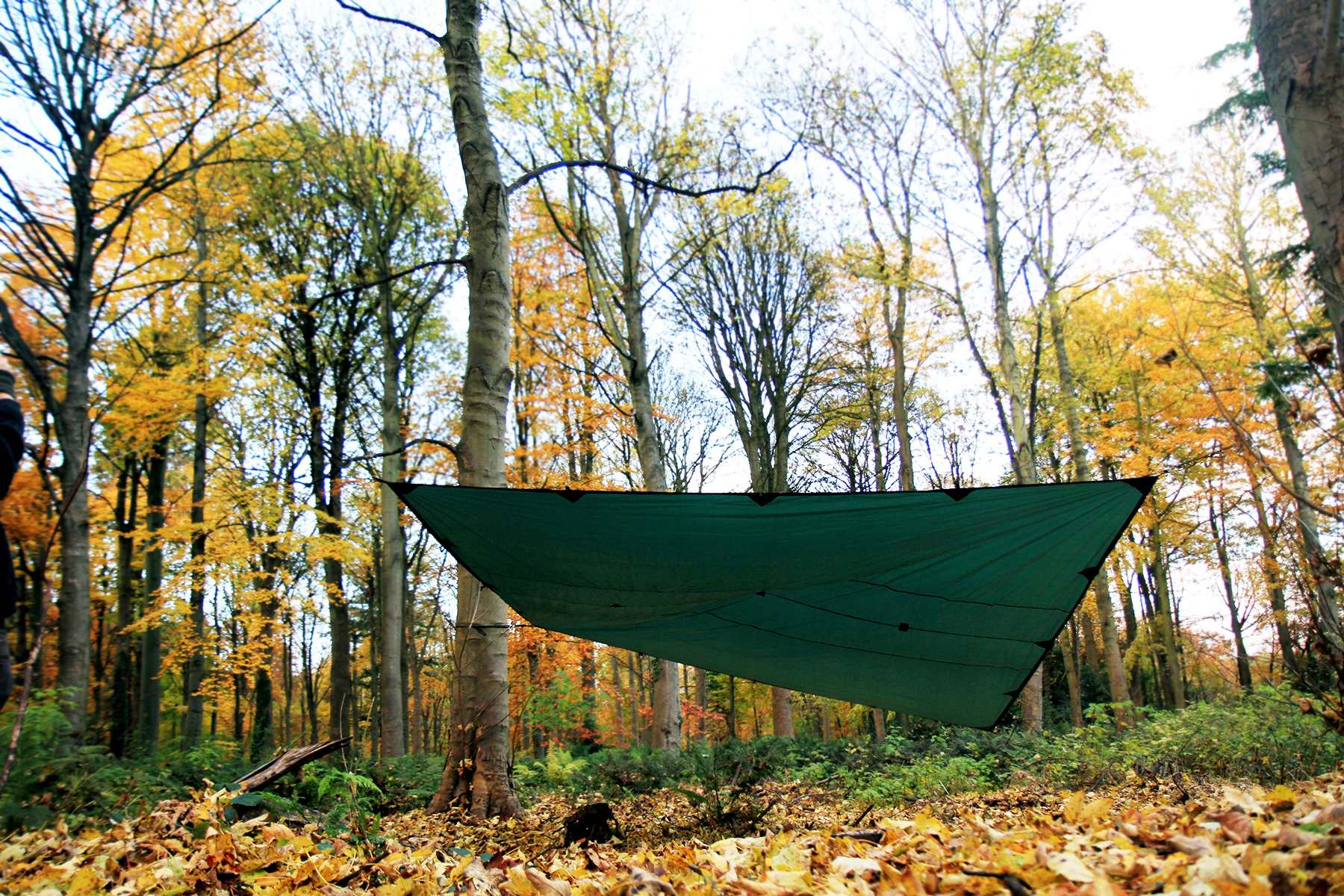 DD Hammocks Tarp