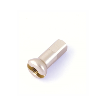 DT Swiss Silver Ekernippel