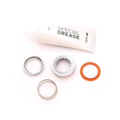DT Swiss Ratchet EXP 36 Service Kit