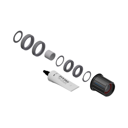 DT Swiss Hybrid Ratchet Upgrade Kit