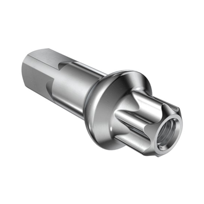 DT Swiss DT Squorx Pro Head Eikenippel