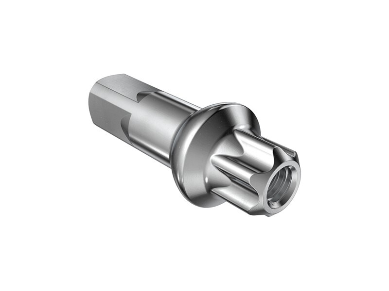 DT Swiss DT Squorx Pro Head Eikenippel