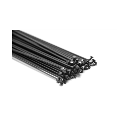 DT Swiss Champion Svart Eker 10 st.