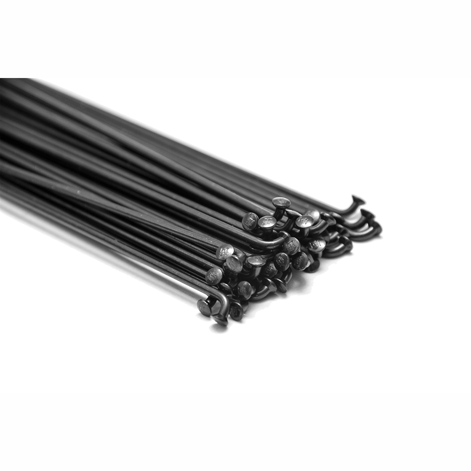 DT Swiss Champion Svart Eker 10 st.