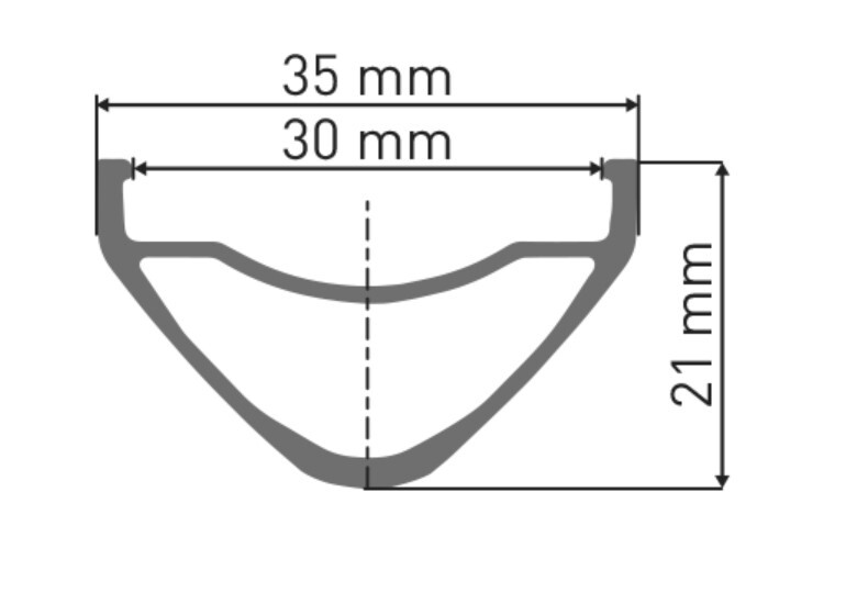 DT Swiss FR 541 Disc 29" Fälg