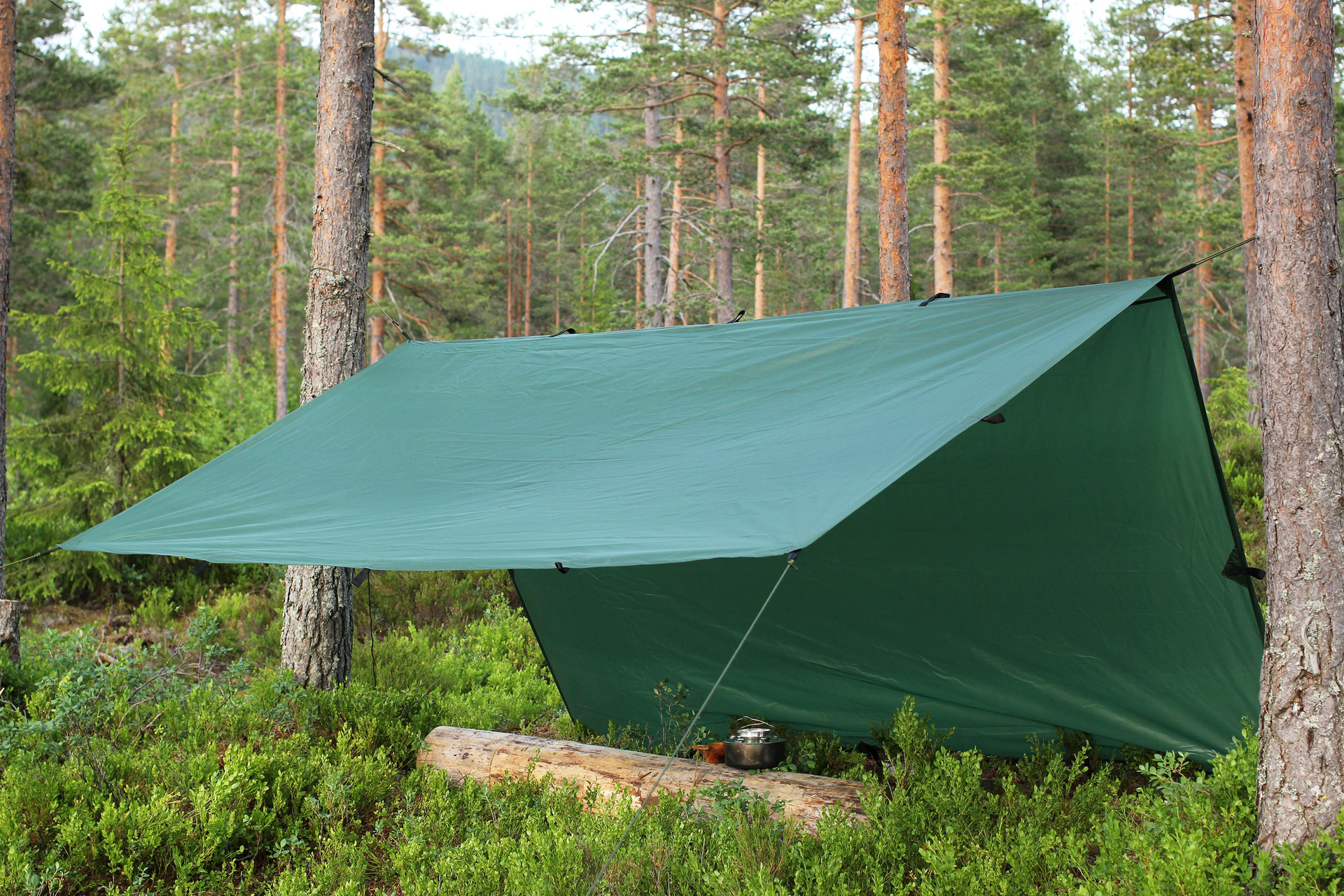 Eagle Tarp
