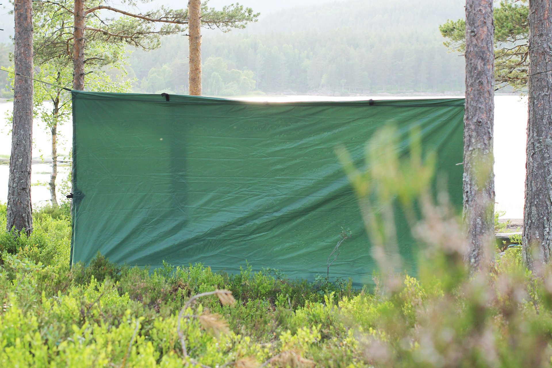 Eagle Tarp
