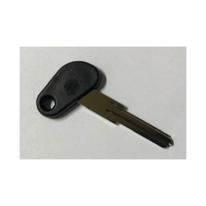 Giant E Downtube Nyckel