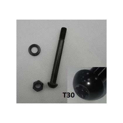 Giant E Yamaha Motorbult