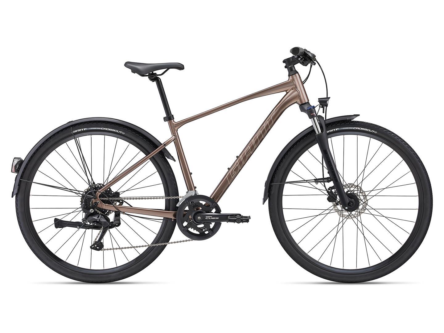 Giant Roam 2 EX Hybridcykel