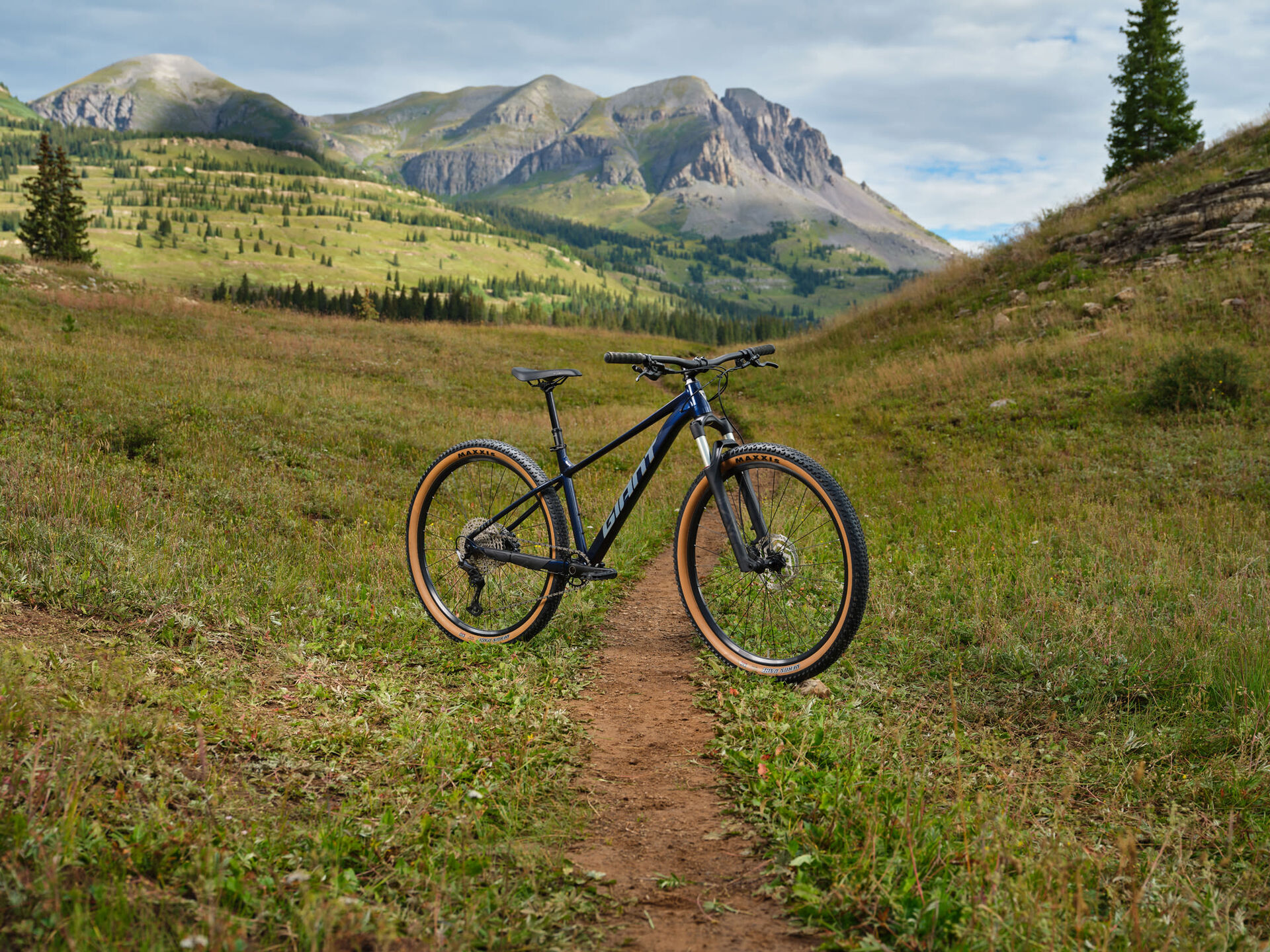 Giant Talon 0 29" Mountainbike