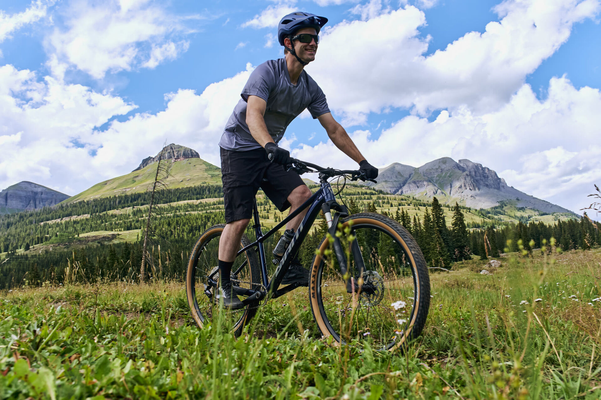 Giant Talon 0 29" Mountainbike