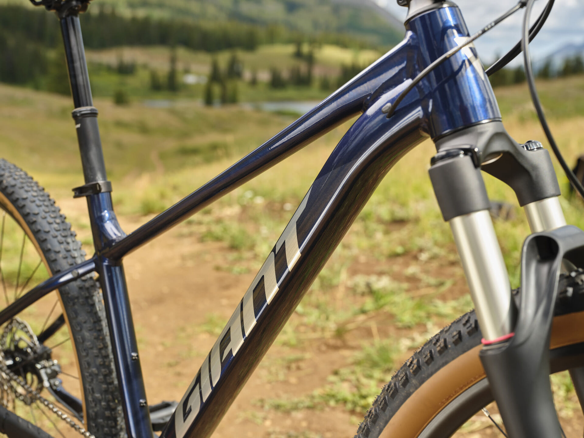 Giant Talon 0 29" Mountainbike