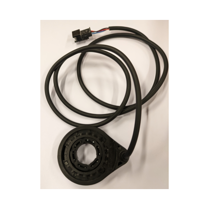 Gavia Roma City Hastighetssensor