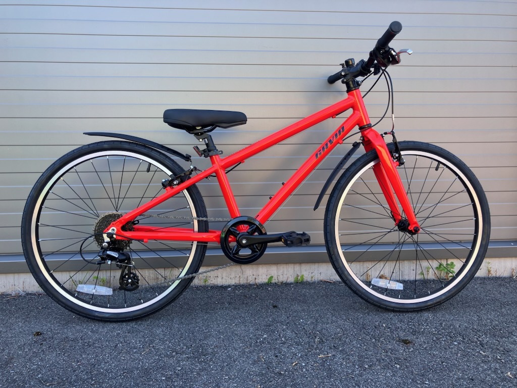 Gavia Ultimate Light 24 '' Barncykel