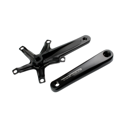 Genetic Tibia Ban Vevparti