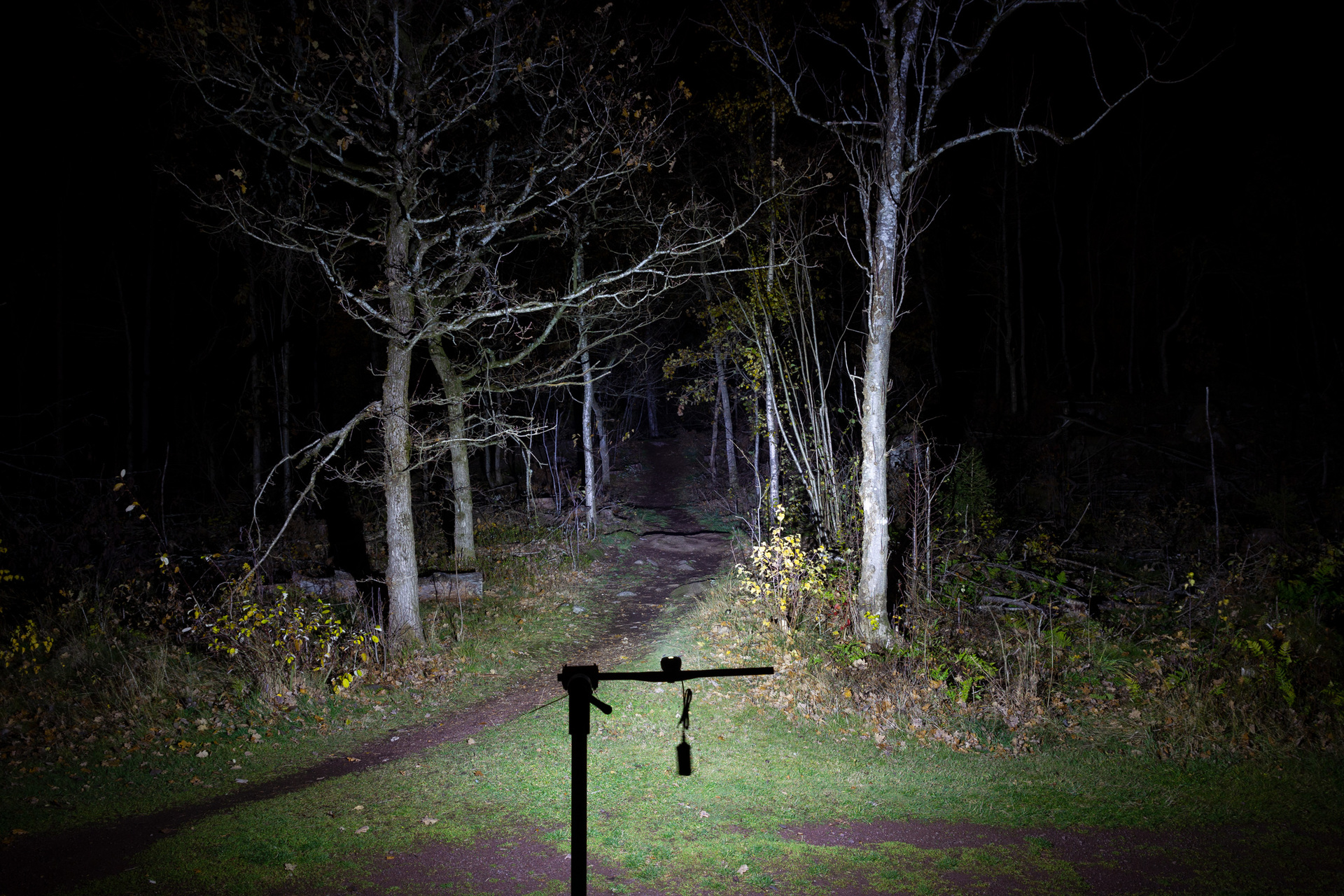 Light & Motion SECA Enduro Lampa