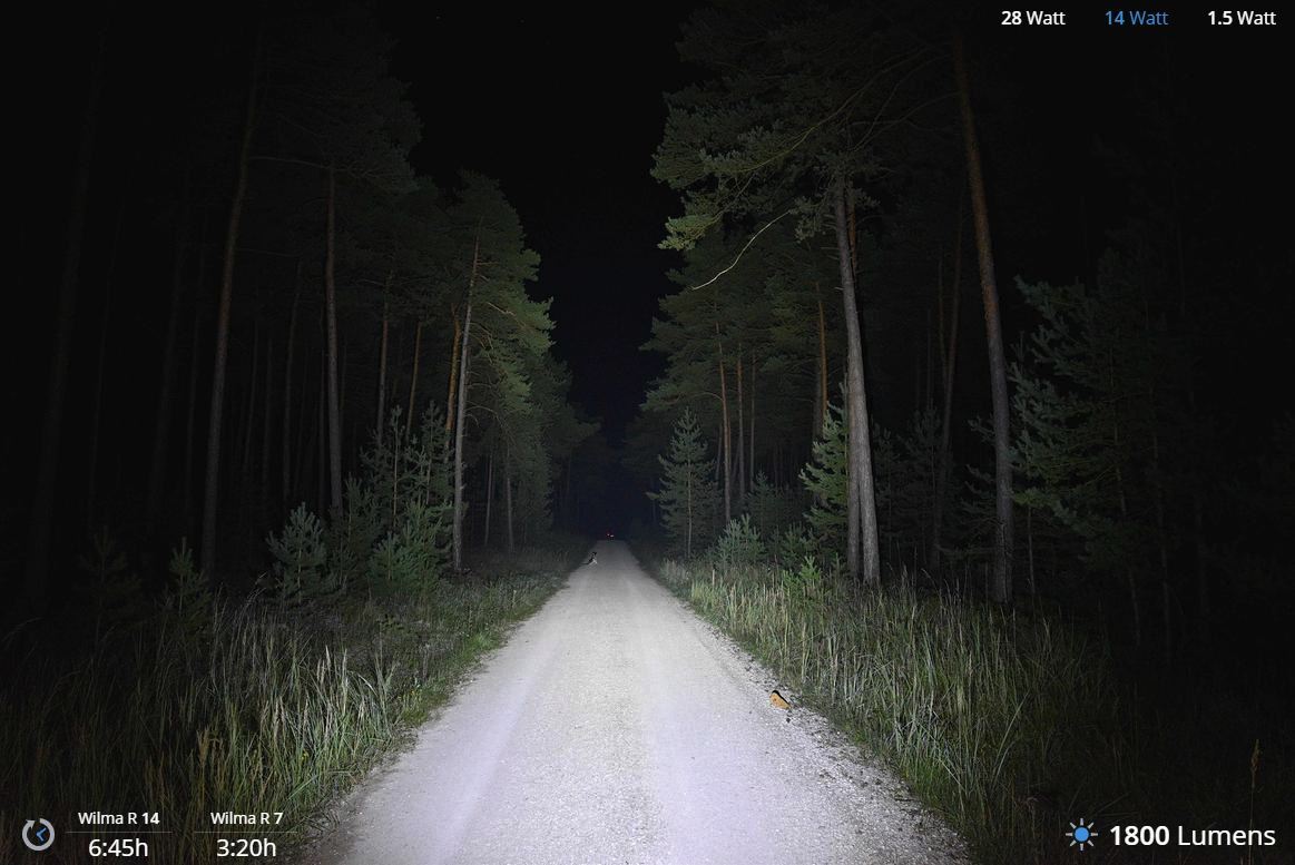 Lupine Wilma R 7 Pannlampa