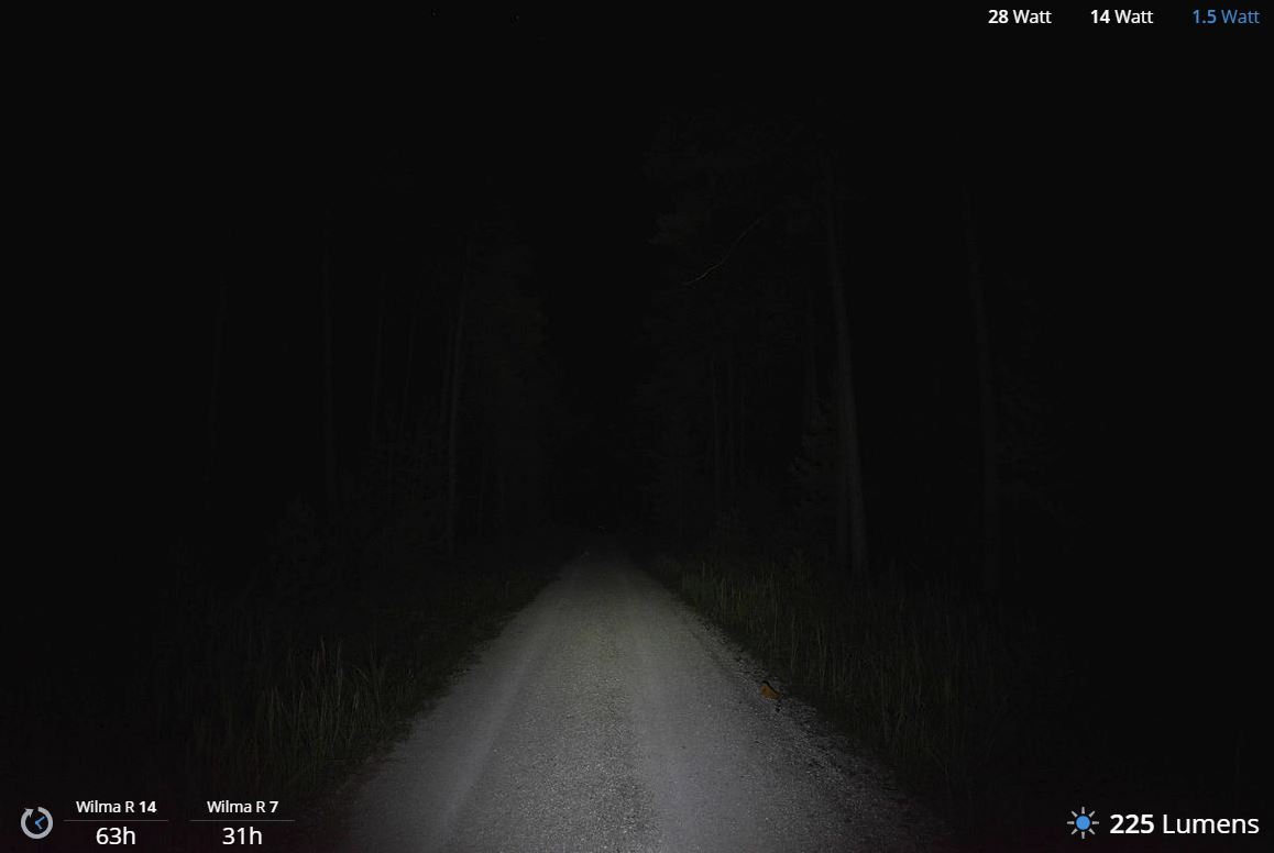 Lupine Wilma R 7 Pannlampa