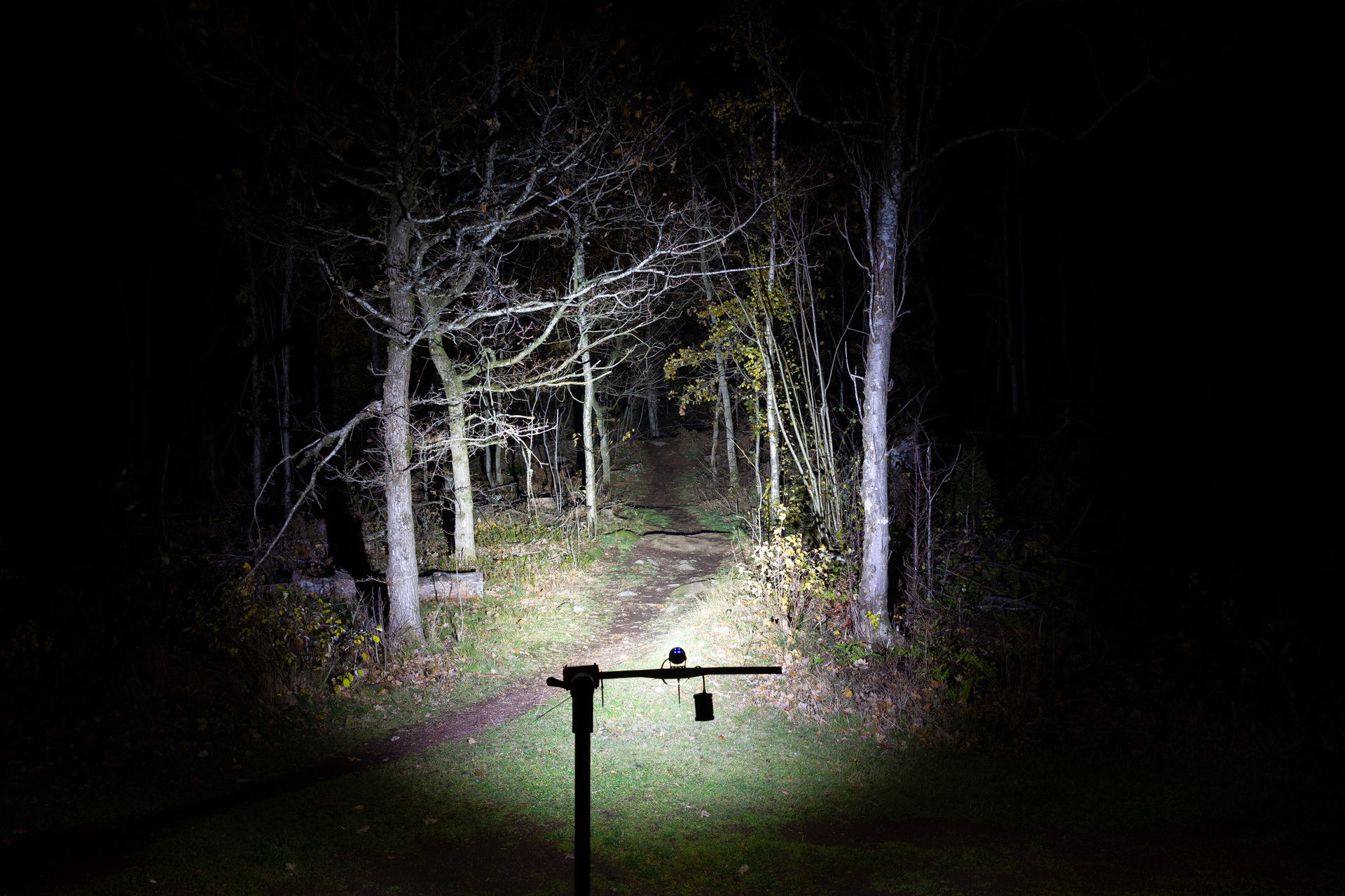 Lupine Wilma R 7 Pannlampa