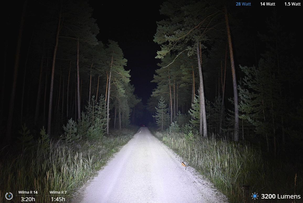 Lupine Wilma R 7 Pannlampa