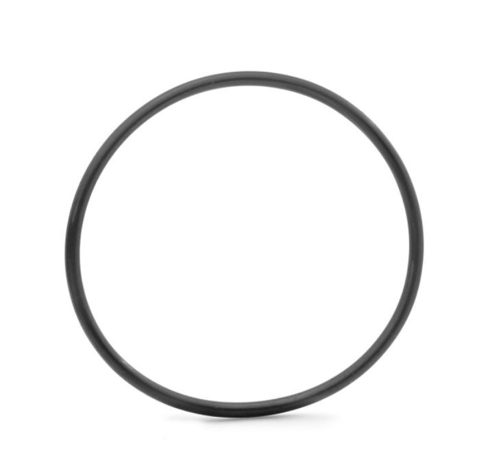 Bosch O-Ring