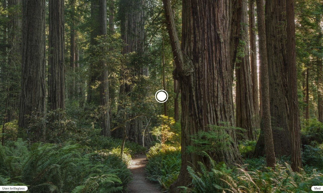 Oakley Radar EV XS Path Lins