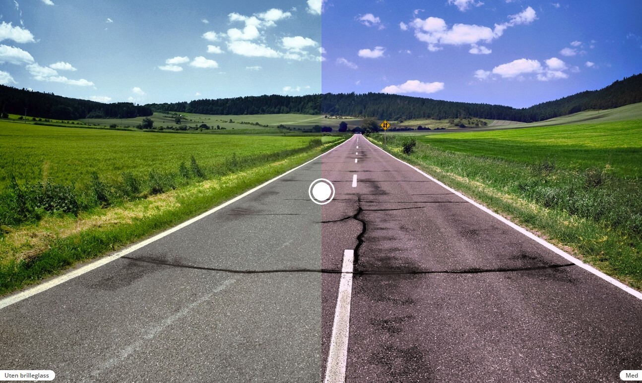 Oakley Flight Jacket Lins