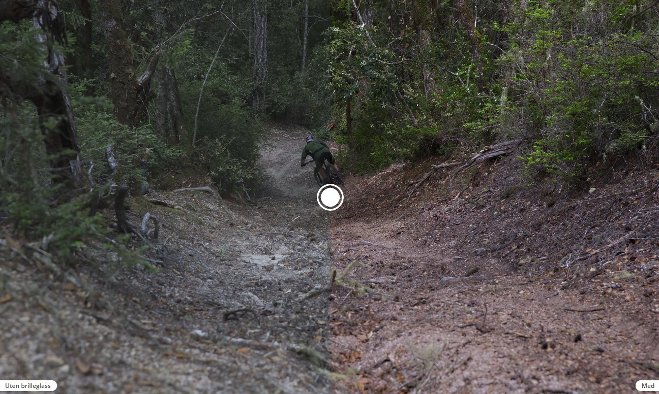 Oakley Flight Jacket Lins