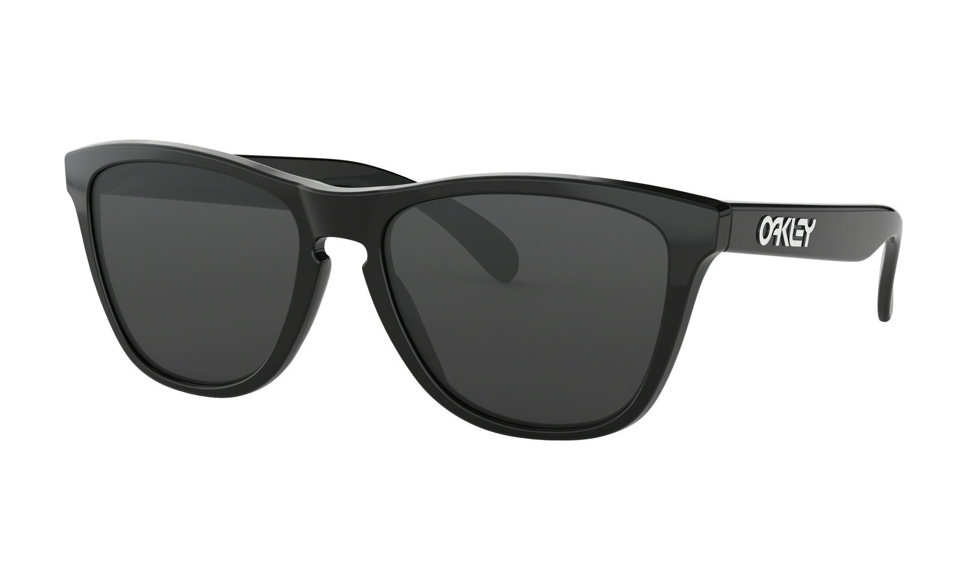 Oakley Frogskins Glasögon
