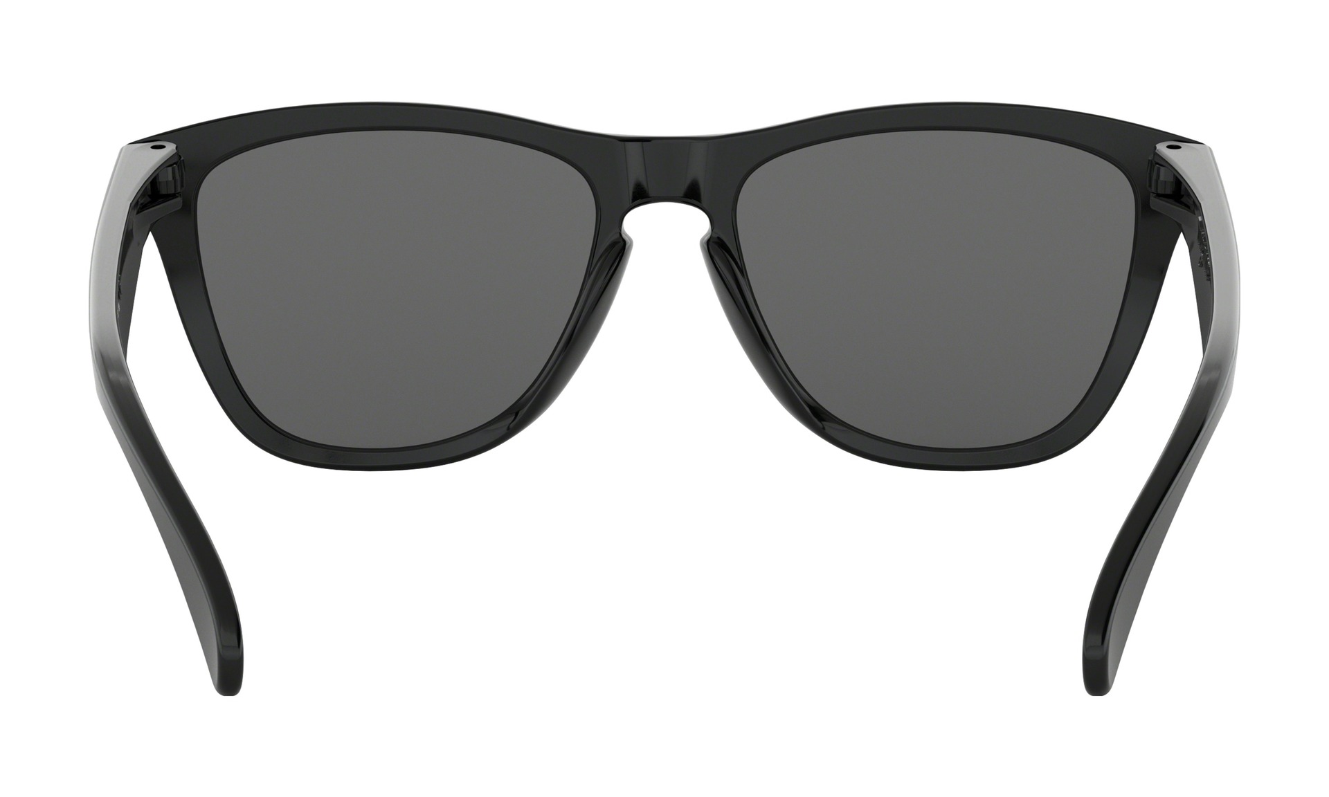 Oakley Frogskins Glasögon