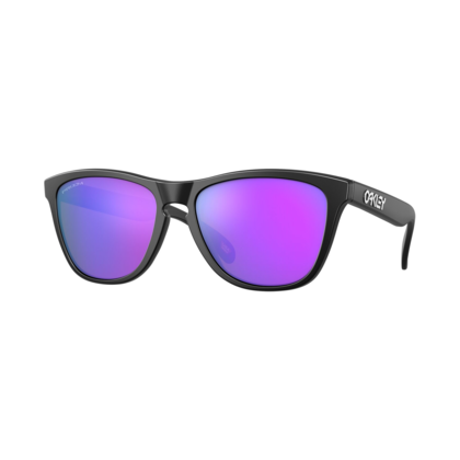 Oakley Frogskins Glasögon