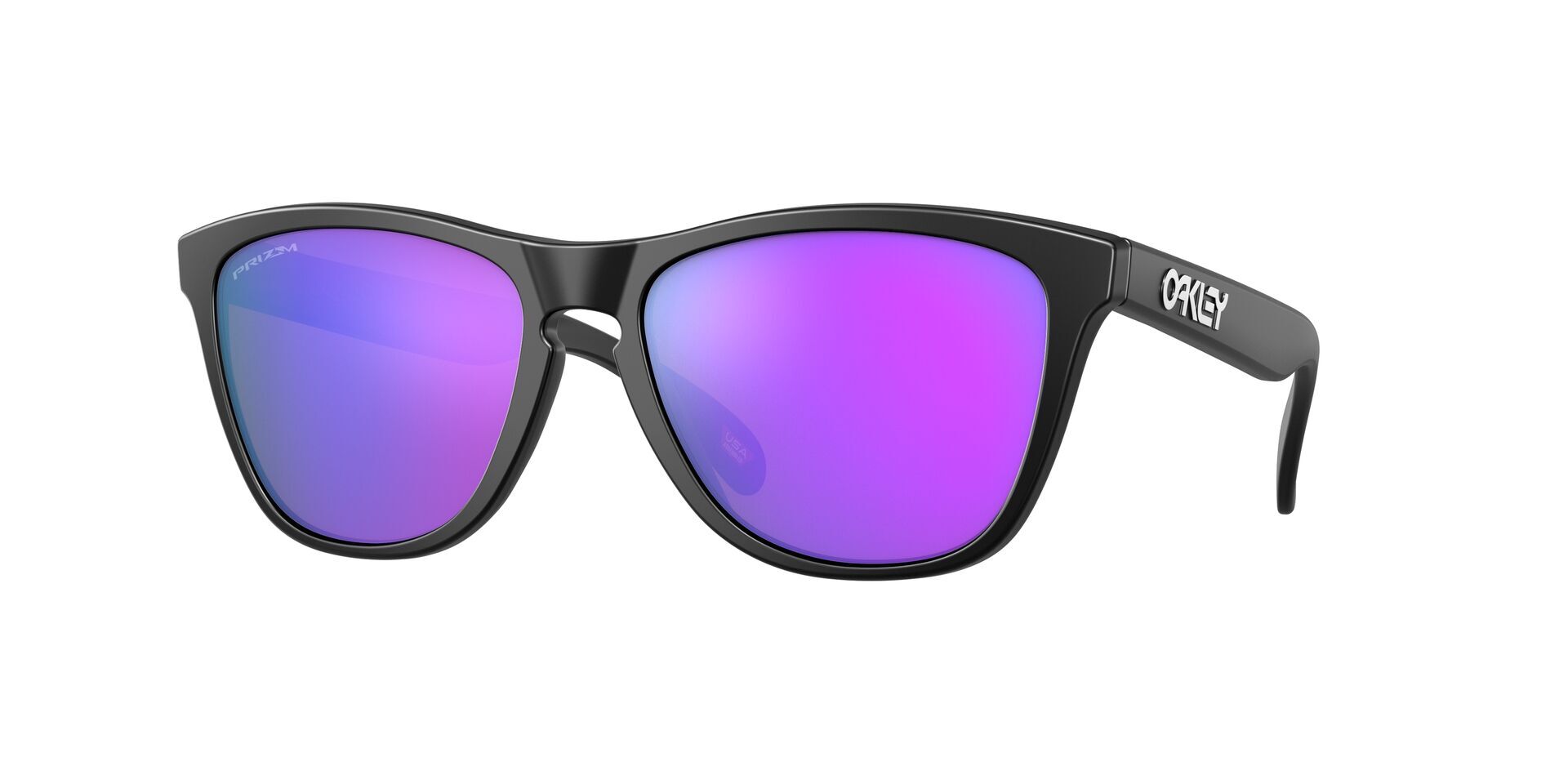 Oakley Frogskins Glasögon